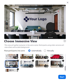 Choose immersive view