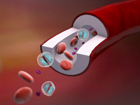 Anemia & Chronic Kidney Disease (CKD) Primer 
