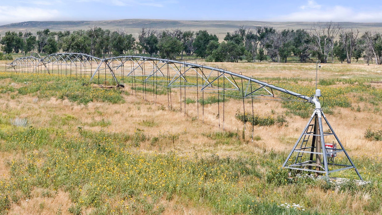 Resolis Irrigated Crop and Pasture