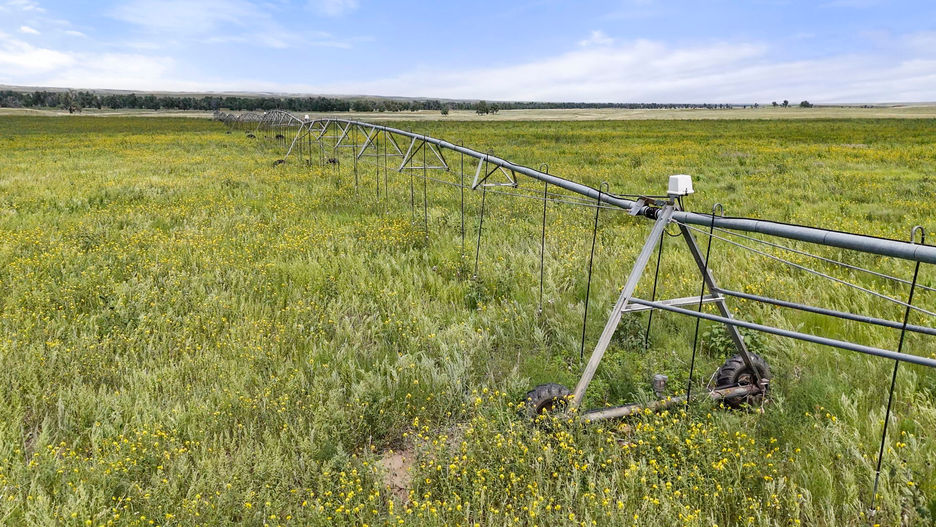 Resolis Irrigated Crop and Pasture