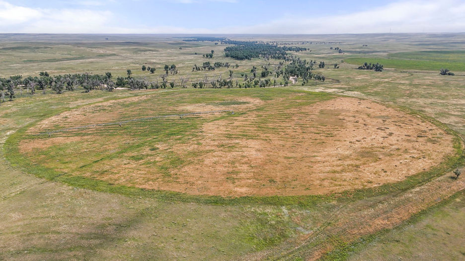 Resolis Irrigated Crop and Pasture