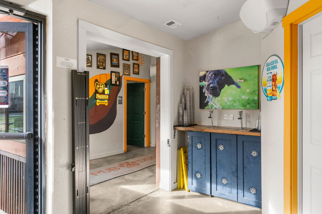 Pub Dog Colorado - For Sale