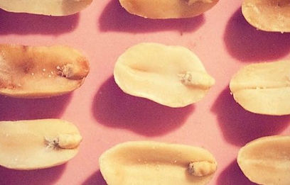 WARNING, THIS ARTICLE DOES NOT CONTAIN NUTS