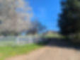 PXL_20260406_165857025.MP.jpg