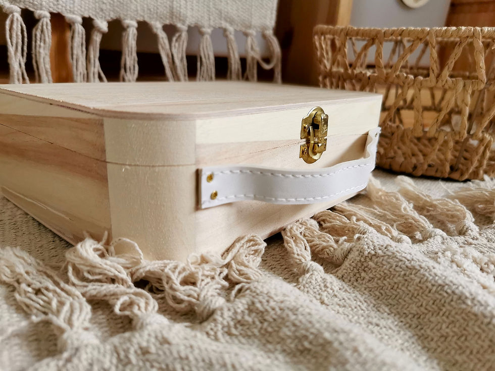 Miniaturbild: Drachenkoffer