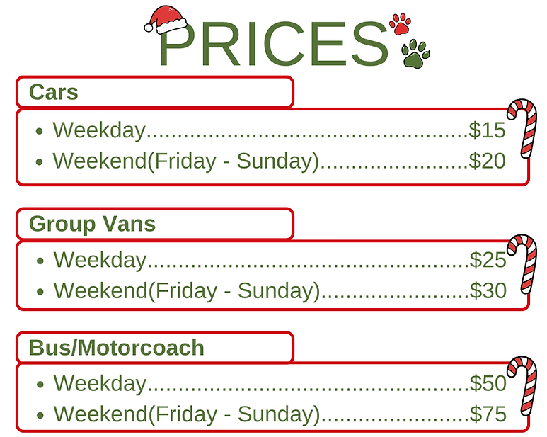 lights4paws prices.png