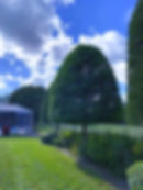 Hedges&Trimming