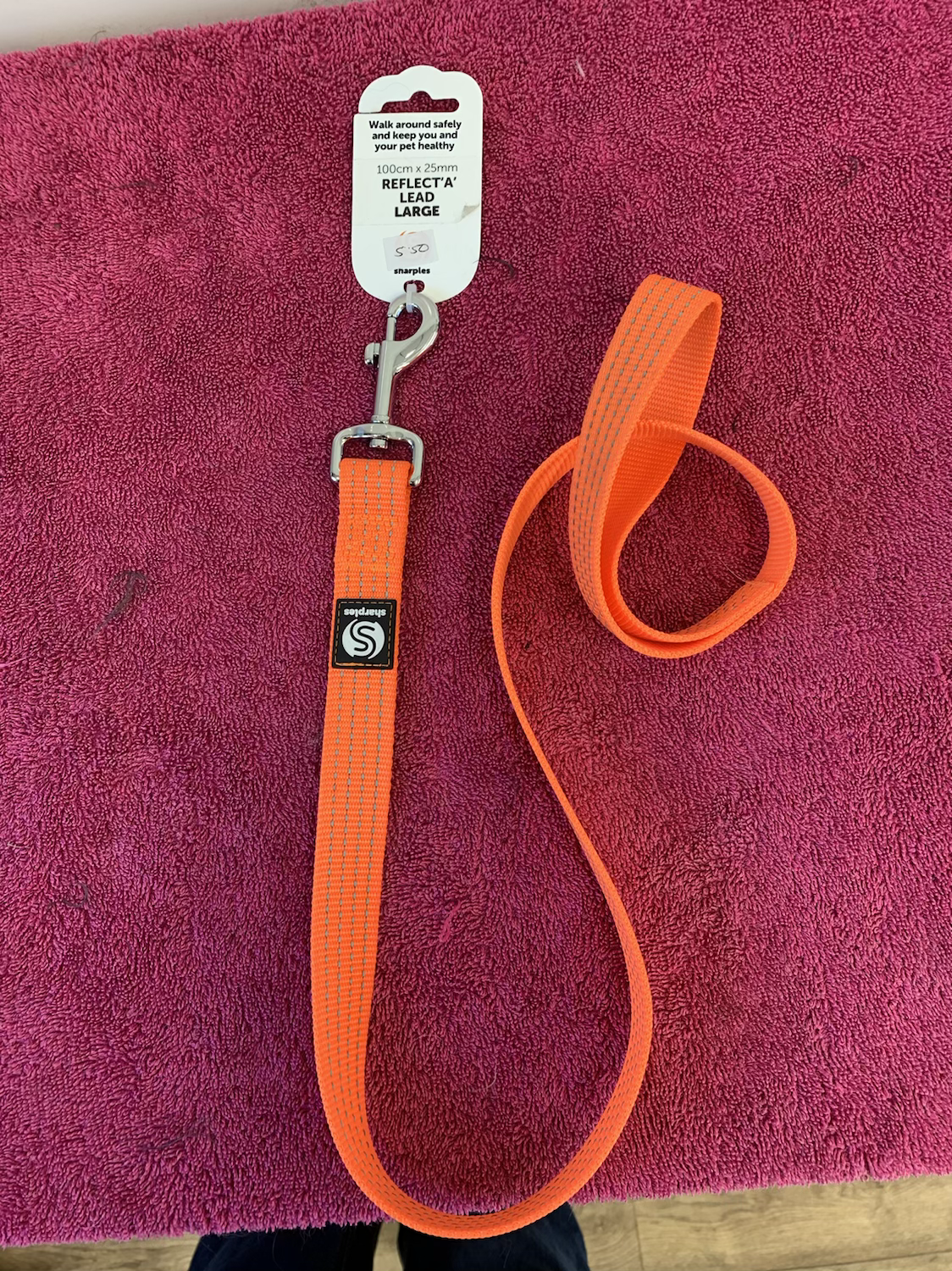 Reflective orange collar and leads 