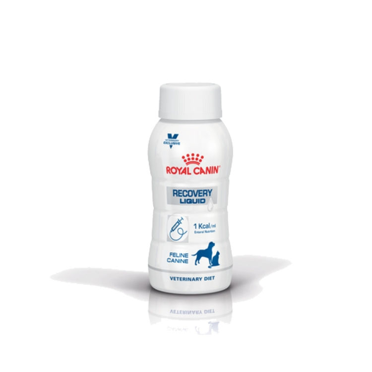 Royal Canin Recovery Liquid Kedi-Köpek Maması 3 x 200 ML