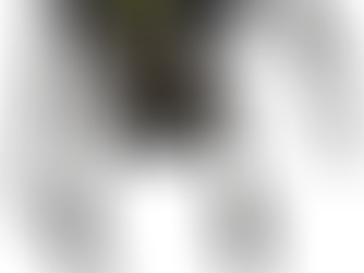 Test Post