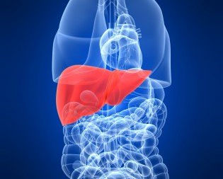The Liver & Traditional Chinese Medicine