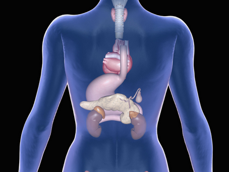 Endocrine Disruptors And How To Avoid Them