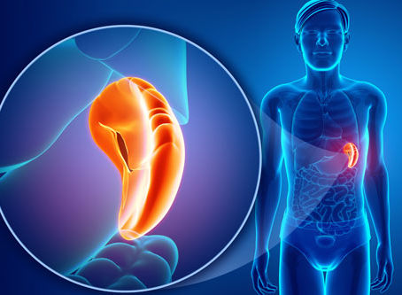 The Spleen and Traditional Chinese Medicine