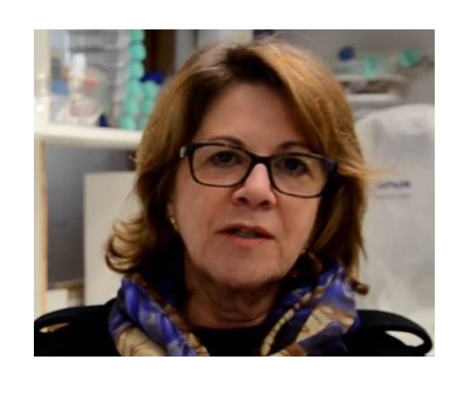 Vanete Thomaz Soccol.gif