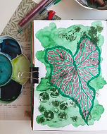 GreenJournal (1).jpg
