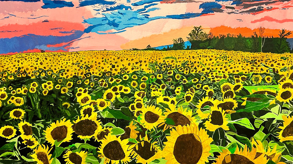 Sunflower Field, Ellen Prebble.jpeg