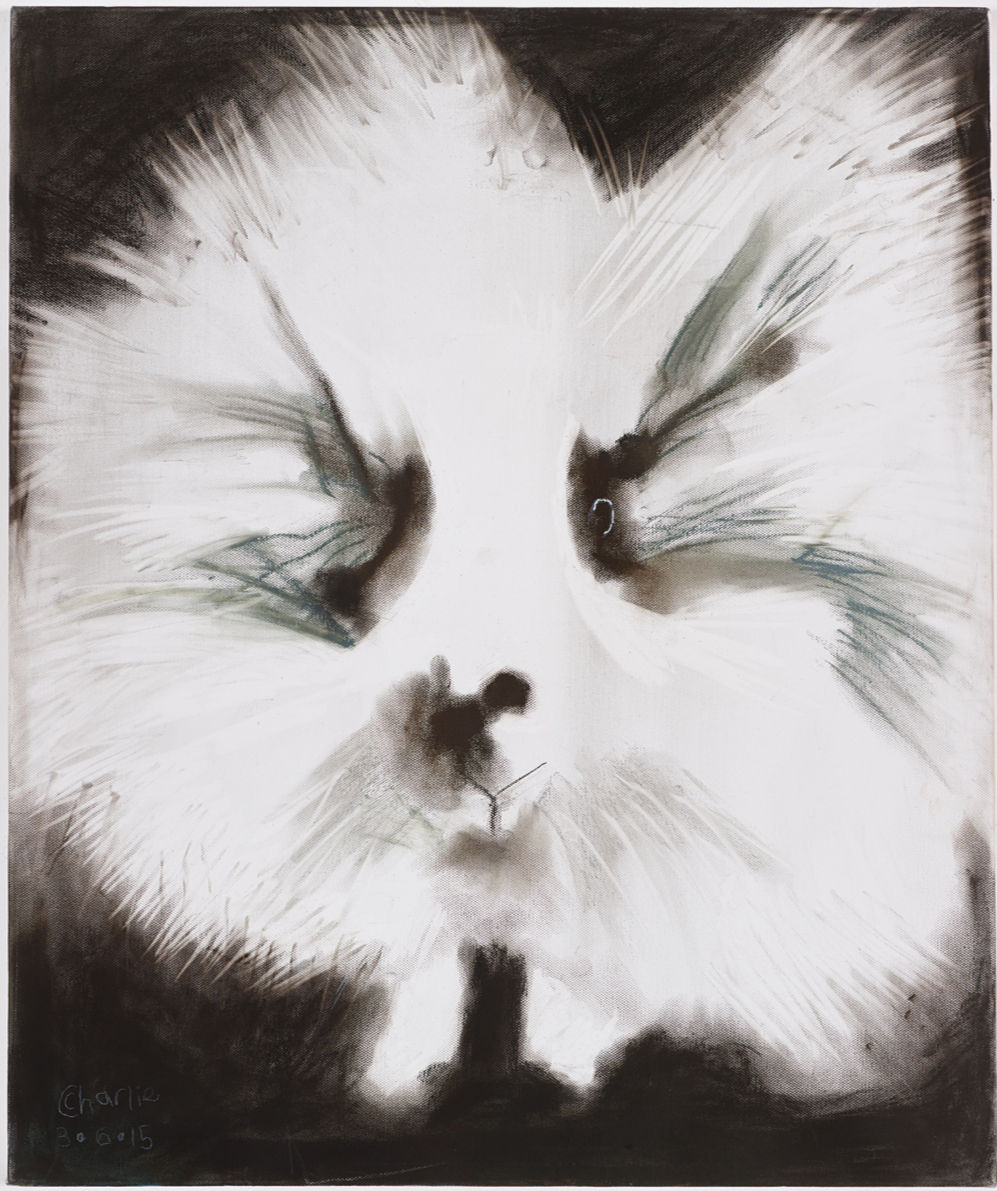 Domino the Rabbit by Charlotte Stephens W2944