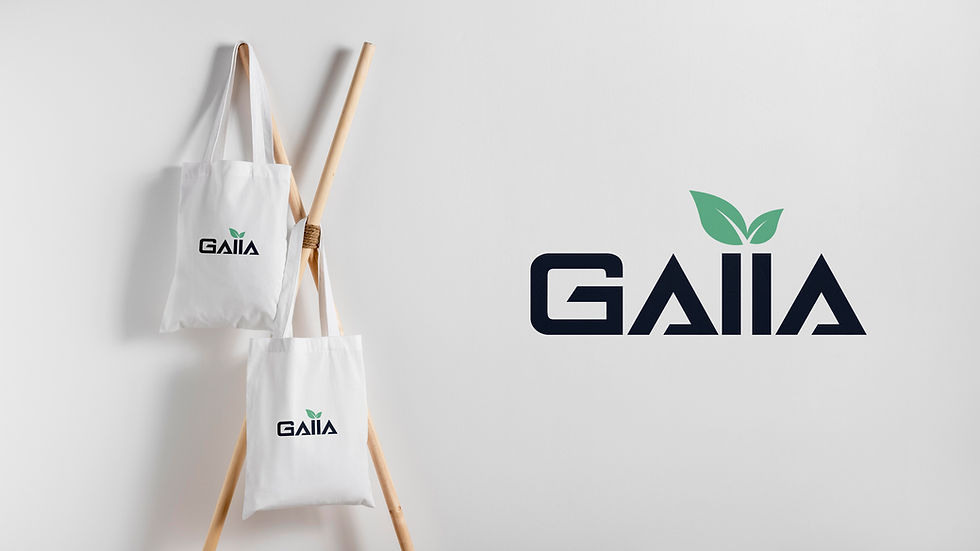 Bag Mockup.jpg