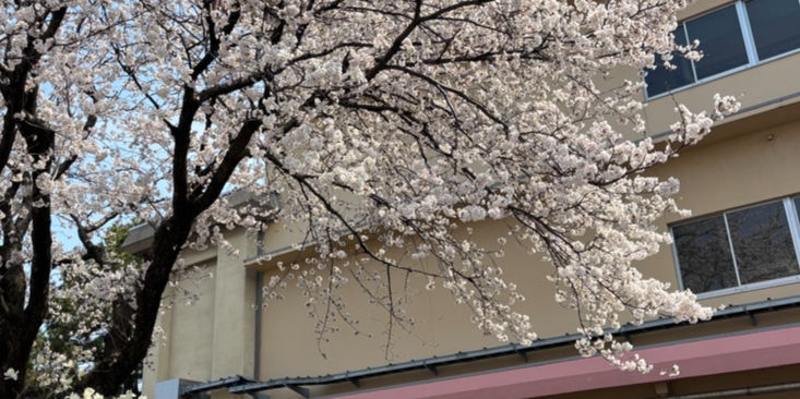 ご入学おめでとうございます！