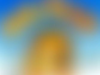 עשרה ספרי ילדים שאני אוהבת במיוחד