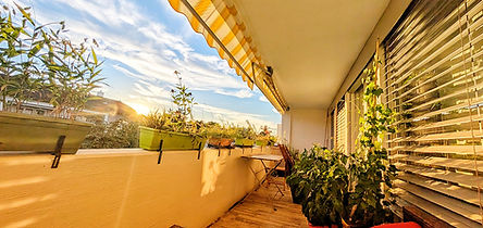 Bepflanzung auf Terasse und Balkon