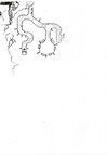 image-6(Powered by MaxAI).jpeg