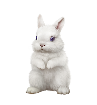 kisspng-domestic-rabbit-hare-christmas-c
