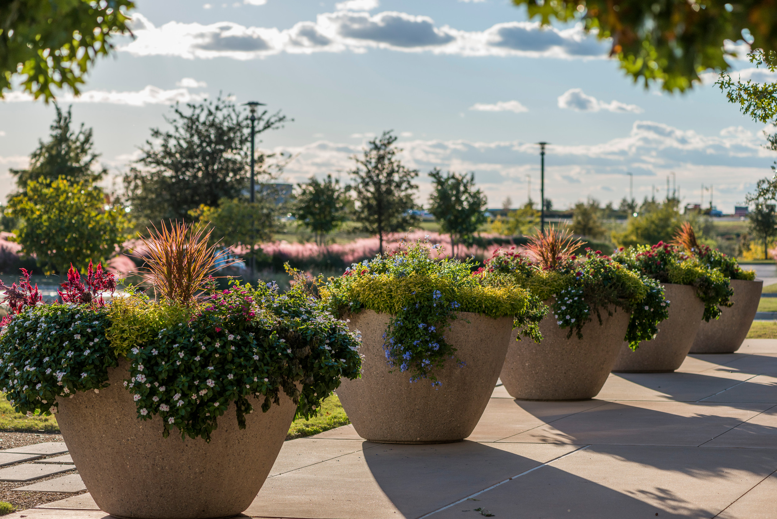 Commercial Landscaping Alliance Landscape Company United States