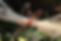 Lien_contact.png