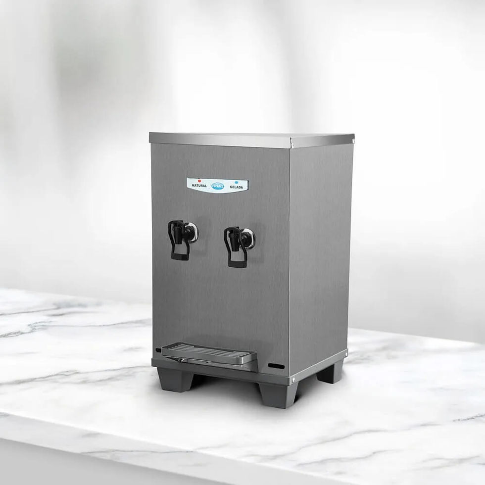 BEBEDOURO BANCADA INOX FRISBEL 10 LITROS