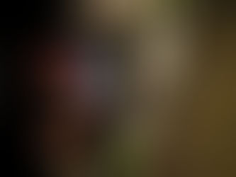 | RACING | Gold Coast ► Finale SUPERCROSS-WM