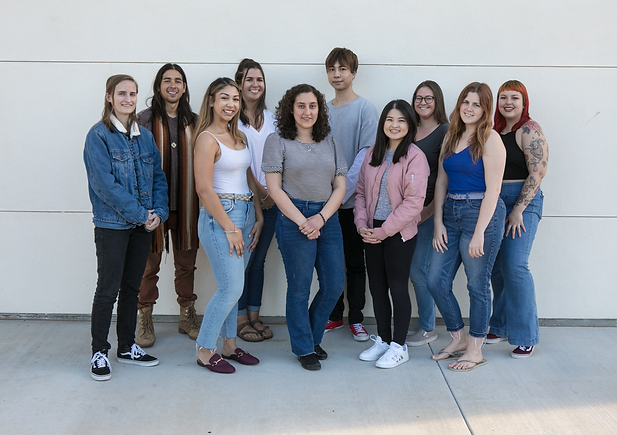 Senior Capstone Group