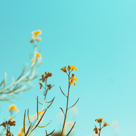 untitled image