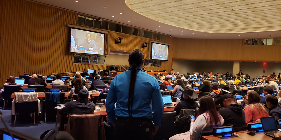 SMEs Innovation and Youth Entrepreneurship for Sustainability