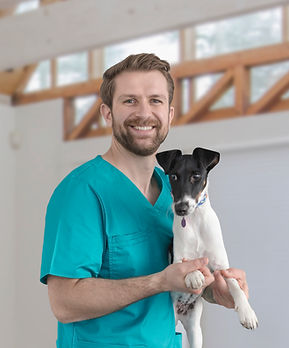 Cachorro en el veterinario