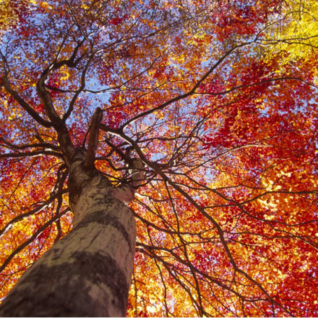 Achieve Your Fitness Goals After 40: How to Adjust Your Exercise Routine and Eating in Fall