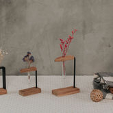 photo (11 of 235).JPG