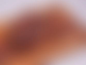 Why We Are Your go-to For The Best Steak Frites in Central London