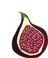 figs (1).png