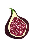 figs.png
