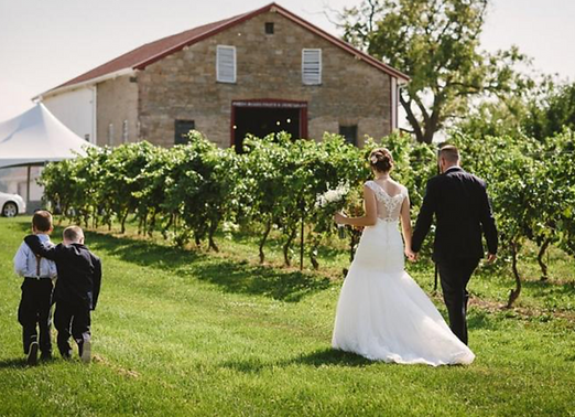 Wedding Overlooking Vineyards
