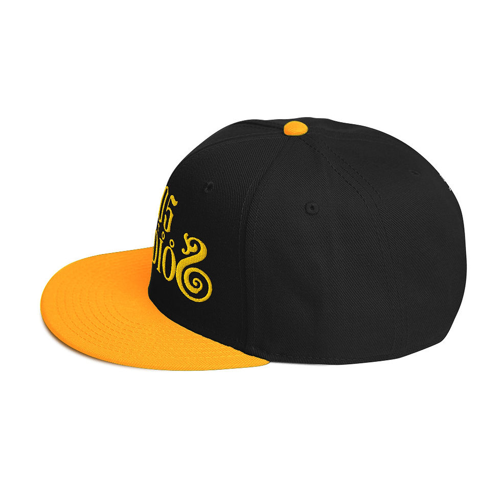 Thumbnail: Snapback Hat copy copy