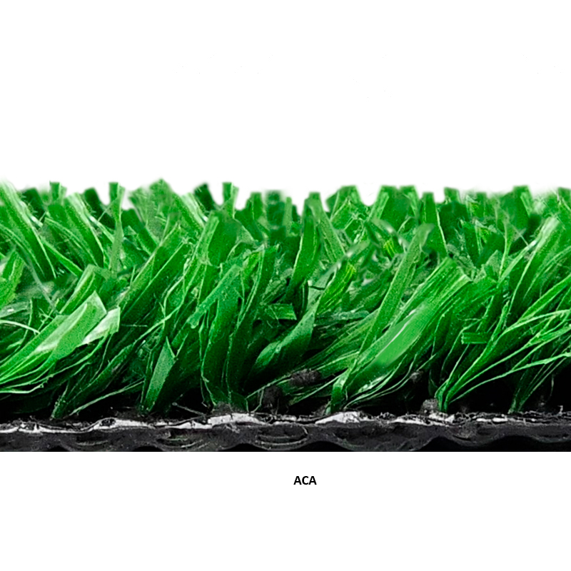 Miniatura: PASTO RECREATIVO