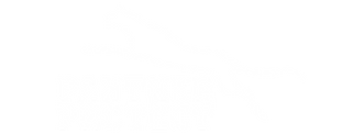 Panther Protect Logo white