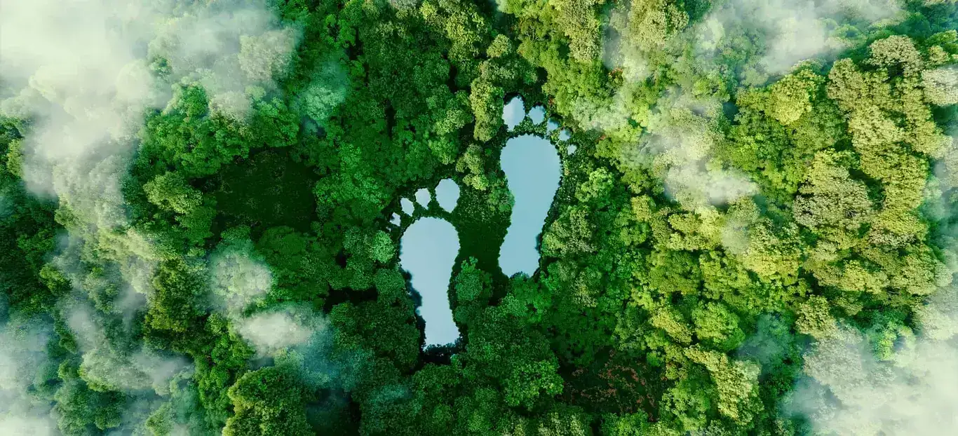 Klimavenlig Hjemmeside