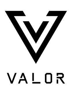 Valor Snacks