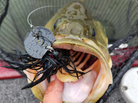 Fall Largemouth Bass: Where to Find Them and What to Throw