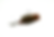 Brown Ember - Skirted Bladed Arky Jig