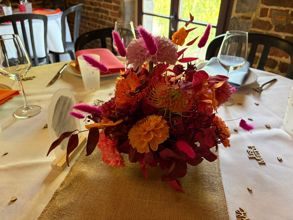 559263675_1390351843098316_6483587613195674130_n