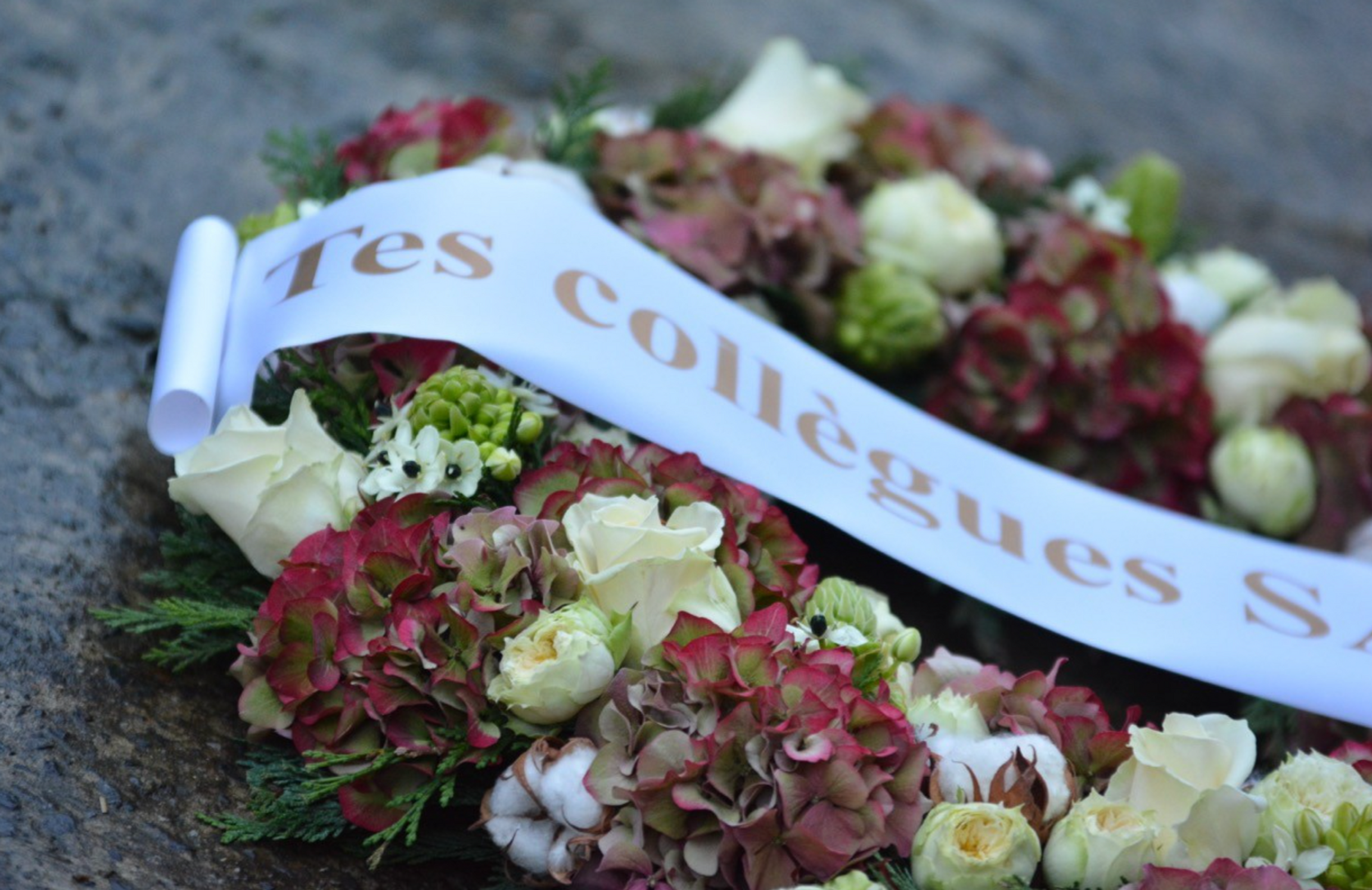 Le ruban blanc avec écritures dorées